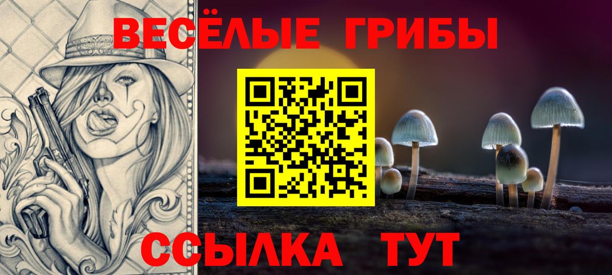 Псилоцибиновые грибы Magic Shrooms  Галлюциногенные грибы Psilocybine cubensis  Россия  Вход с VPN 